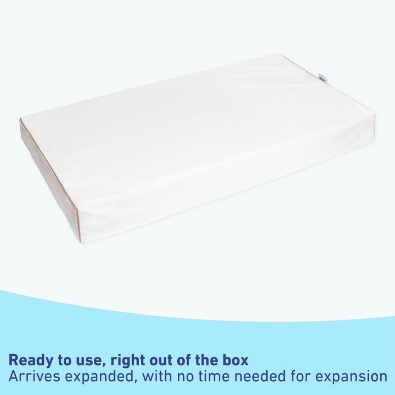 Graco 6" Dual Comfort Crib and Toddler Bed Mattress & Reviews Wayfair